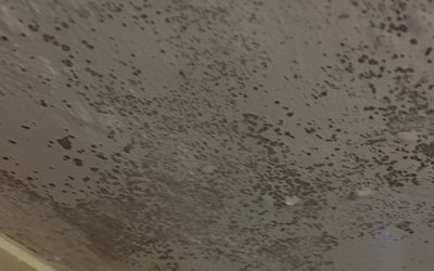 Children’s Home: Black mould removal