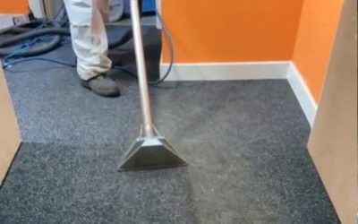 Carpet Cleaning : Nottingham